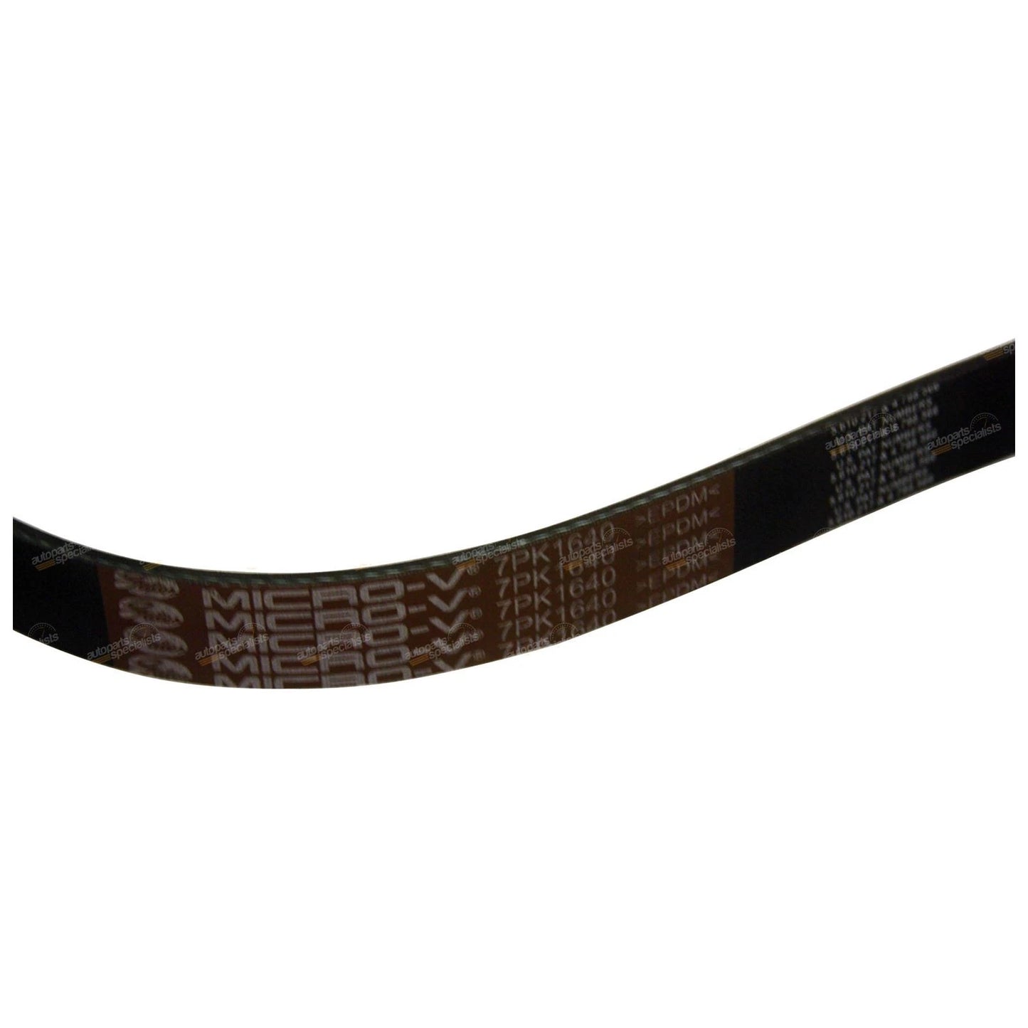 Engine Drive / Fan Belt 3.0L for Turbo Diesel Motor