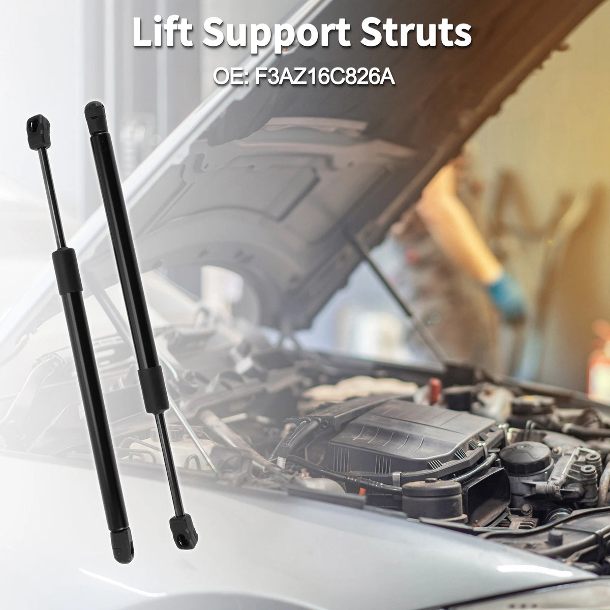 Hood Lift Supports Struts for Ford Crown Victoria (1992-2011)