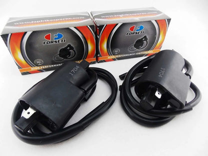 Ignition Coils for Suzuki GSF650 Bandit (2005-2006)