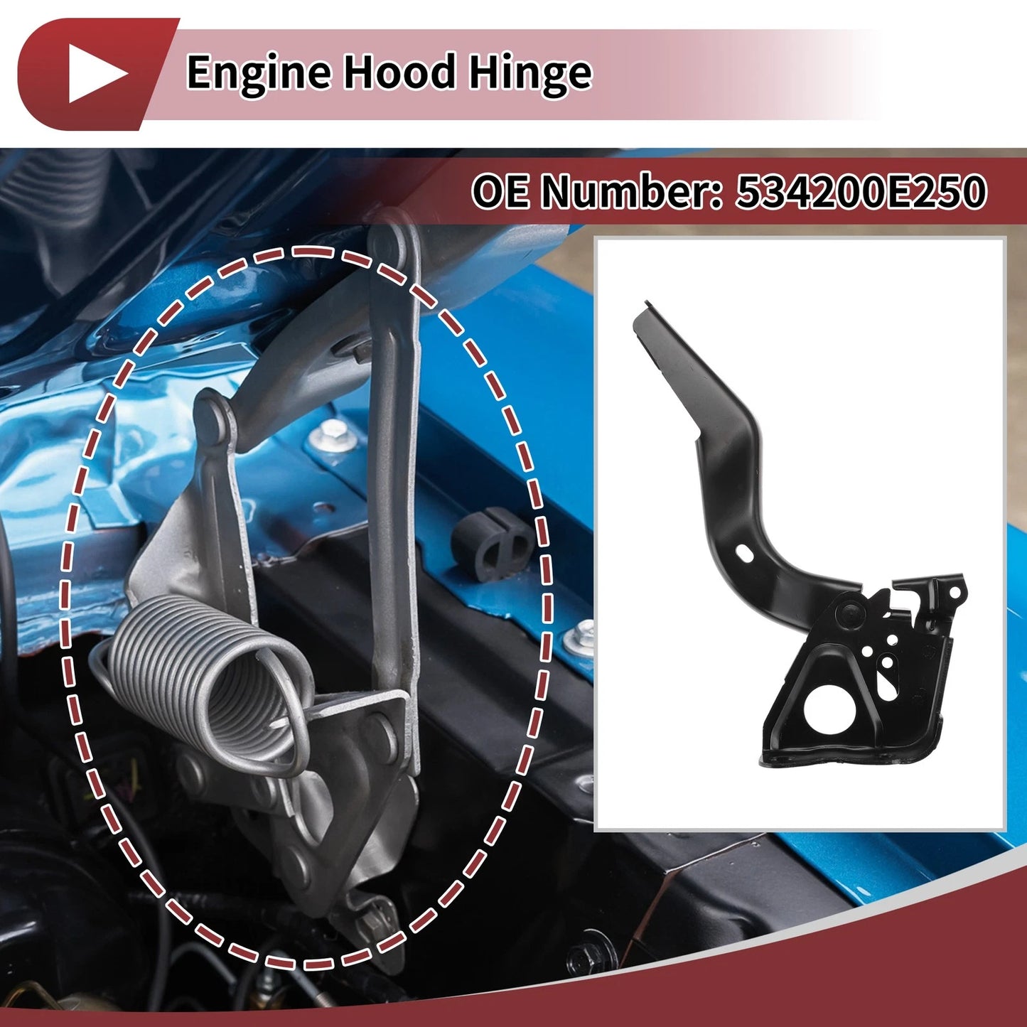 Hood Hinge Left Engine Cover for Toyota Highlander (2019–2024)