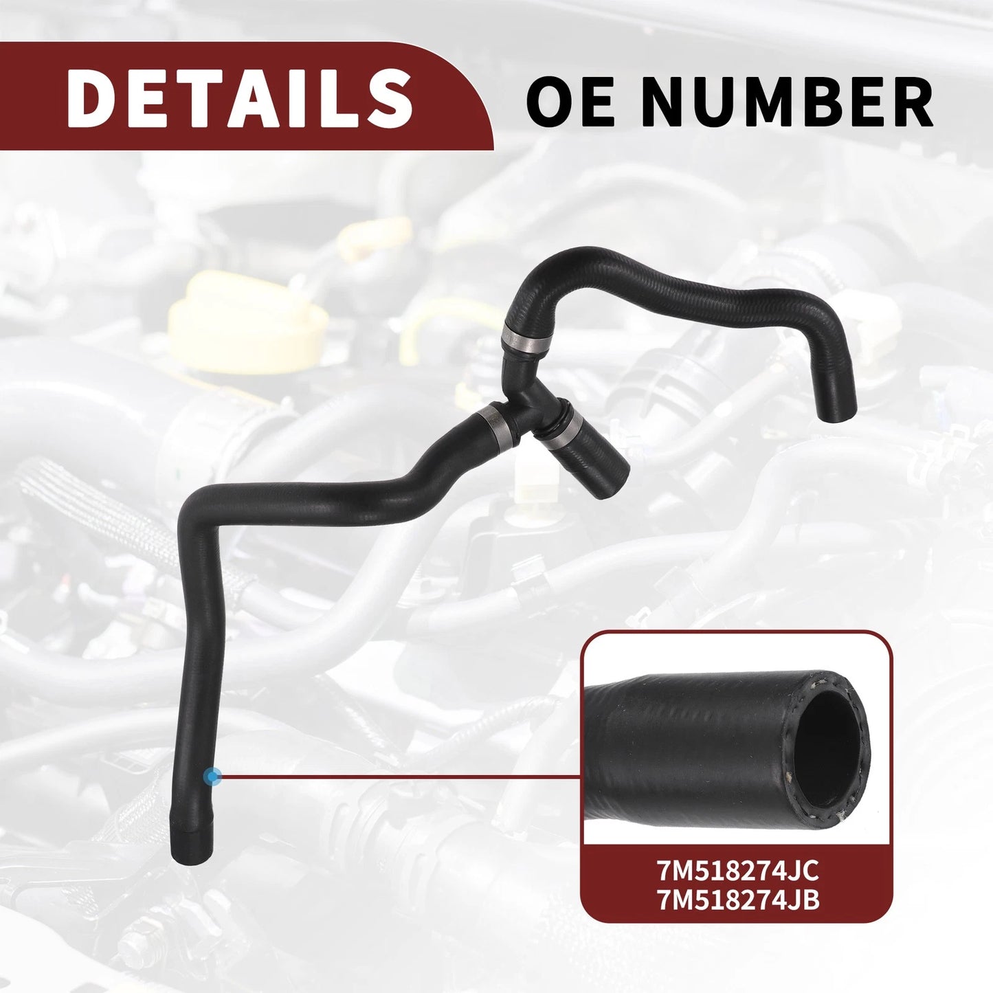 Cooling System Hose Assembly for Ford C-Max (2007-2010) | 1 Pcs