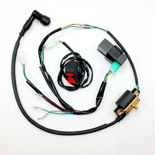 150cc 160cc Kick Start Engine Wire Harness for PIT PRO Dirt Bike