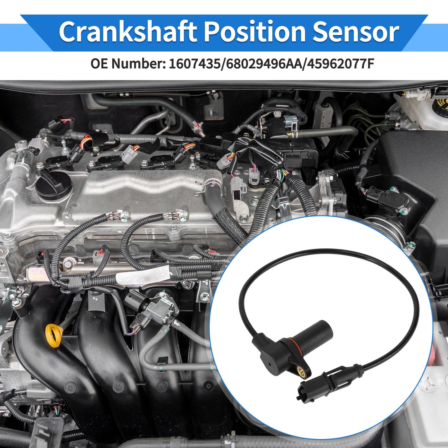 Crankshaft Position Sensor for Jeep Wrangler 2.8 CRD (2007-2010)