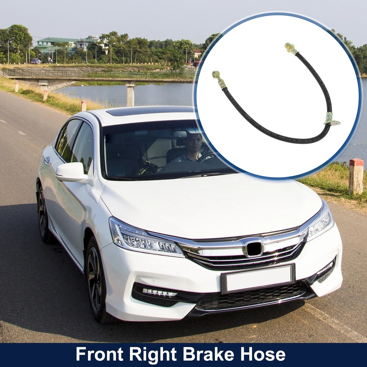 Front Right Brake Hose for Honda Accord (2003-2007)