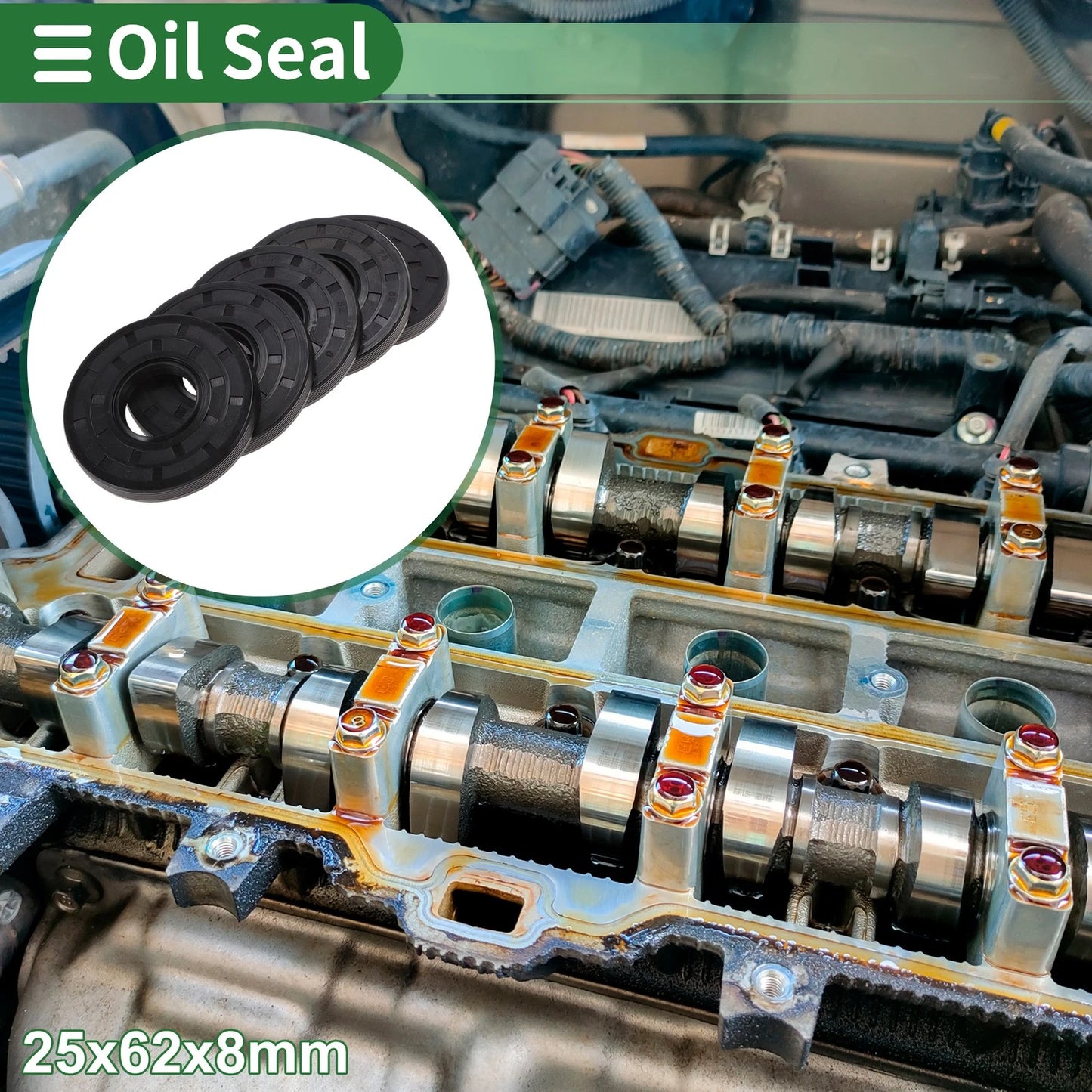 Oil Seal / 25x62x8mm / NBR Rubber 5 x