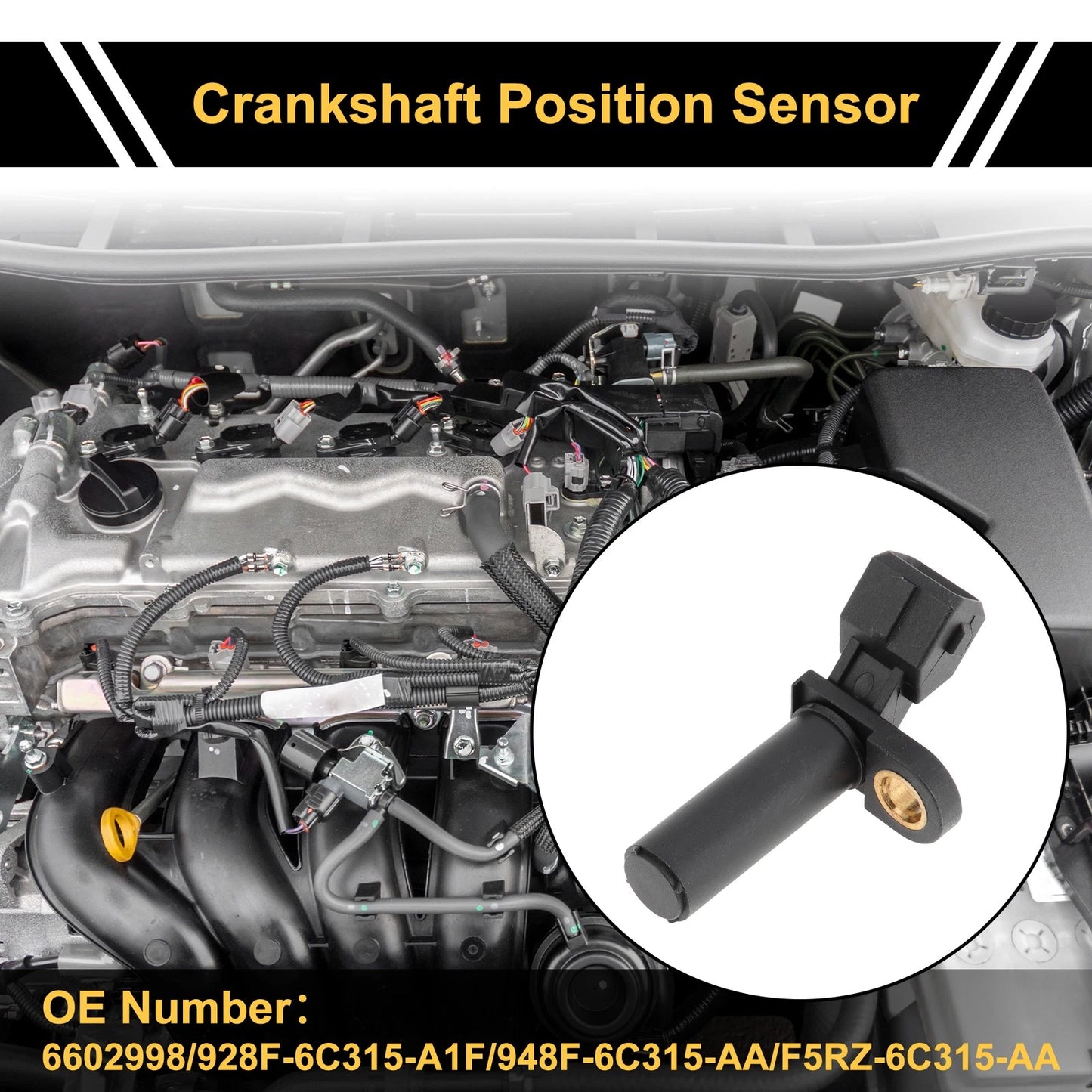 Crankshaft Position Sensor for Ford Focus 1.4 16V (2000-2004)
