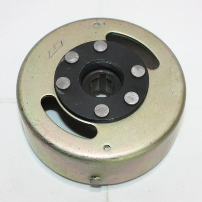 Magneto Stator Plate & Flywheel Set for 110cc 125cc PIT PRO Dirt Bike