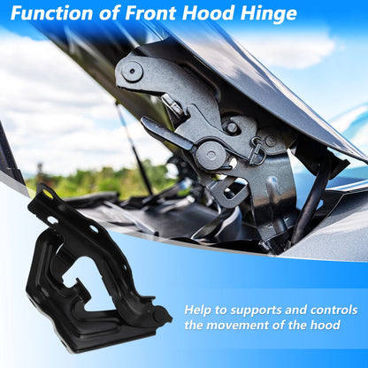 Front Hood Hinge Set for Toyota Camry (2015–2017)