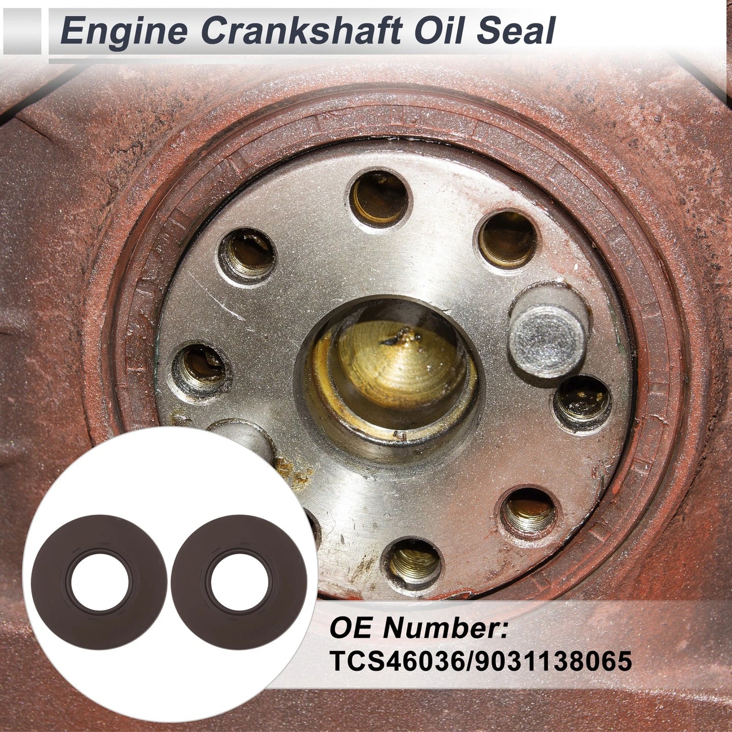 Engine Crankshaft Seal & Cam Seal 2 x for Lexus LX470 (1998–2005)