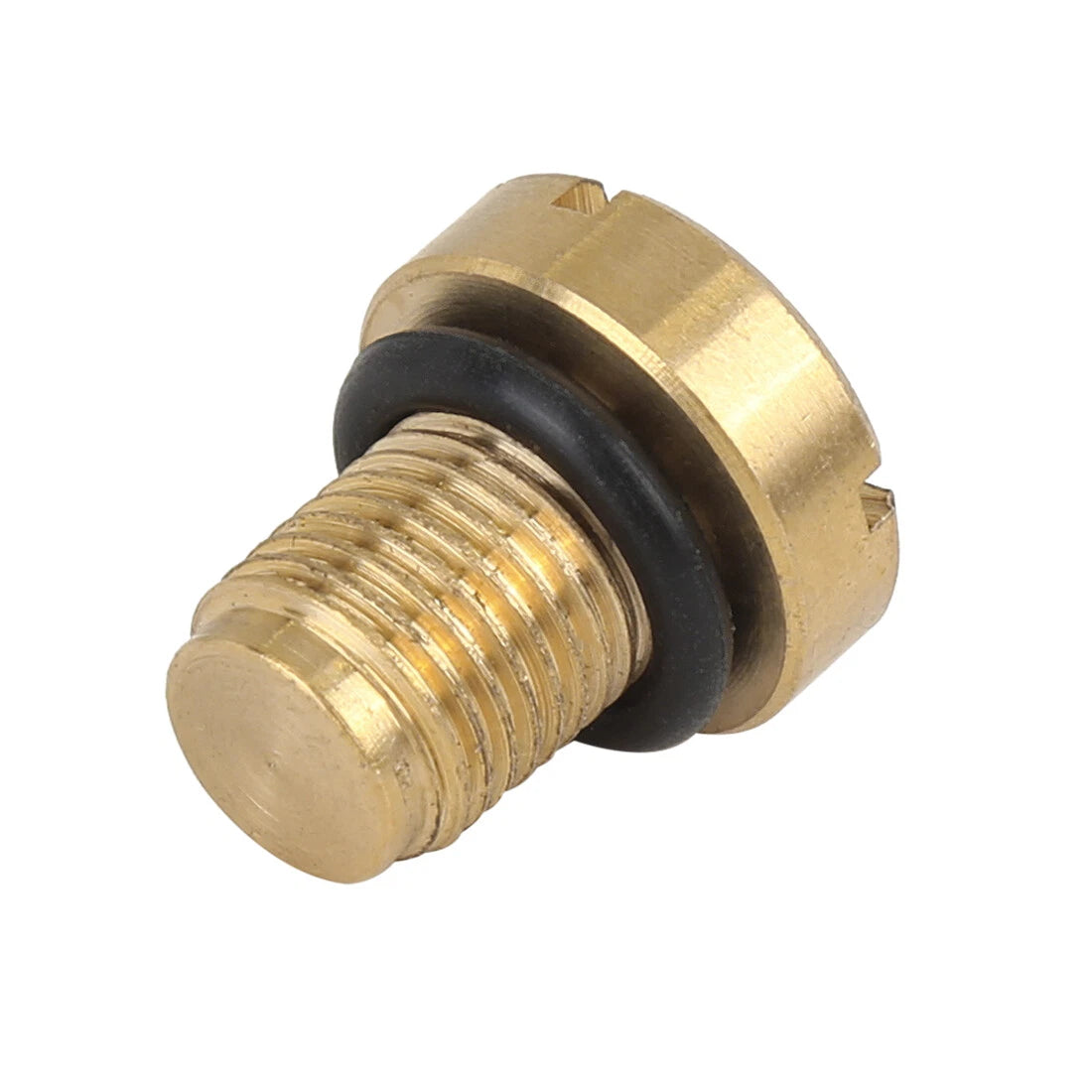 Radiator Coolant Expansion Tank Bleeder Screw for BMW X1 X3 X5 (2011-2023)