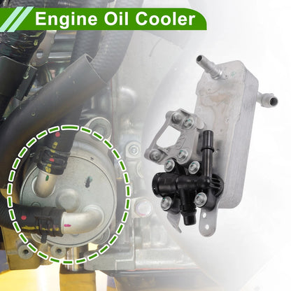 Engine Oil Cooler for BMW 230i (2017-2023)