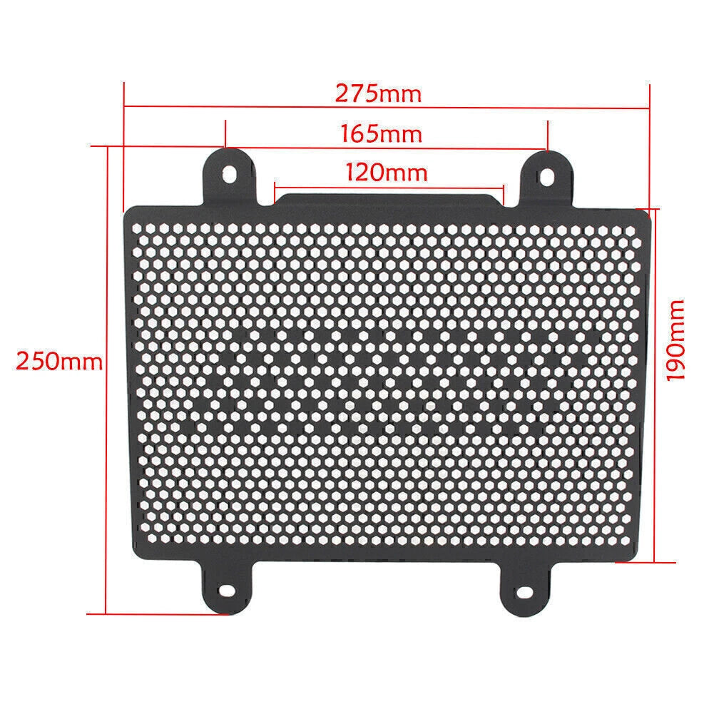Radiator Grill Guard Cover for BMW G310R G310GS (2017-2018)