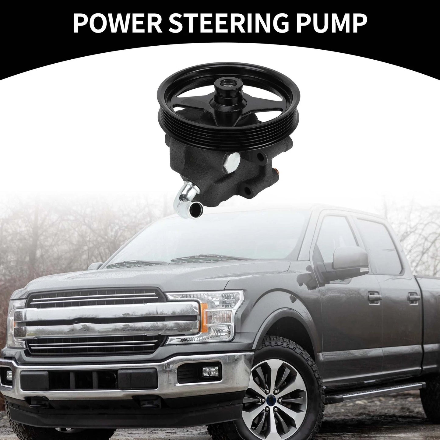 Power Steering Pump with Pulley for Ford Expedition (2001-2002)