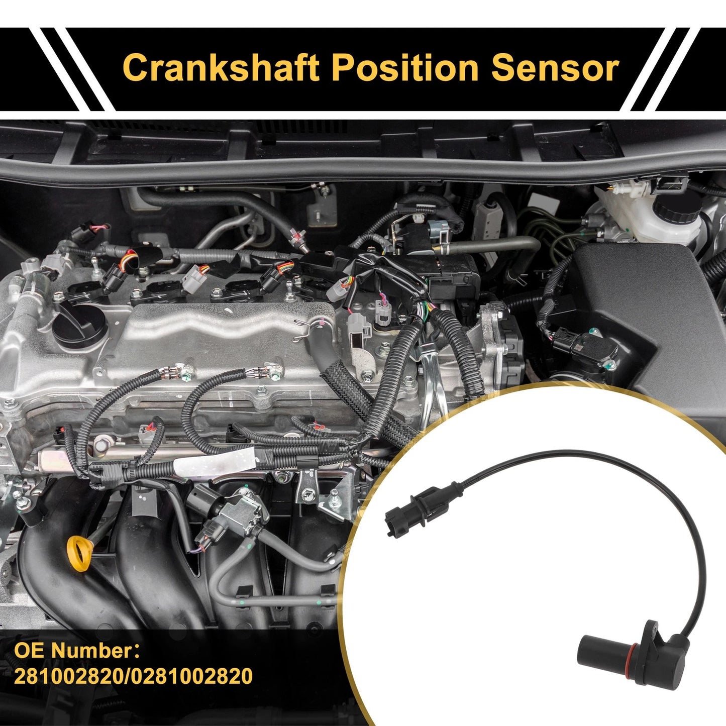 Crankshaft Position Sensor for Ford Ranger 2.5 (2006-2011) - 1 Pc