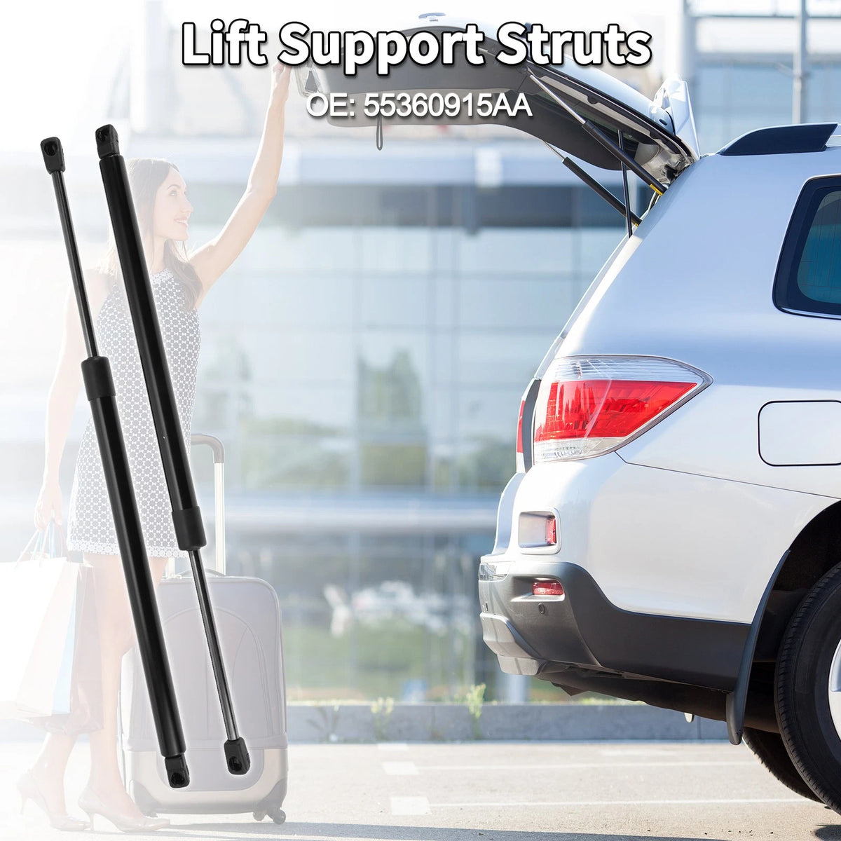 Rear Hatch Lift Supports Struts for Dodge Nitro Sport Utility