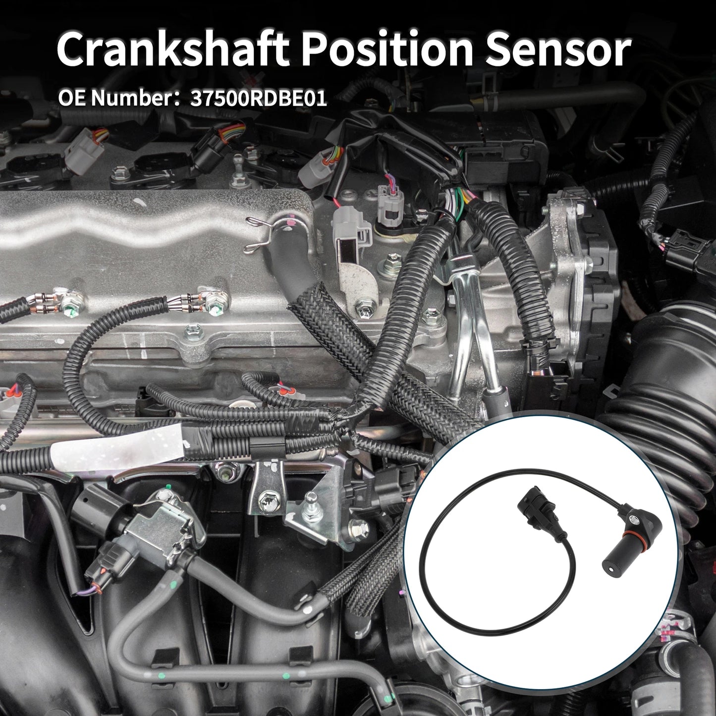 Crankshaft Position Sensor for Honda CR-V 2.2 CTDi (2005-2006) 1 Pc