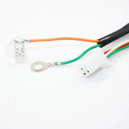Wiring Harness Loom for Yamaha PW50 Peewee 50 Pit Pro Trail Dirt Bike