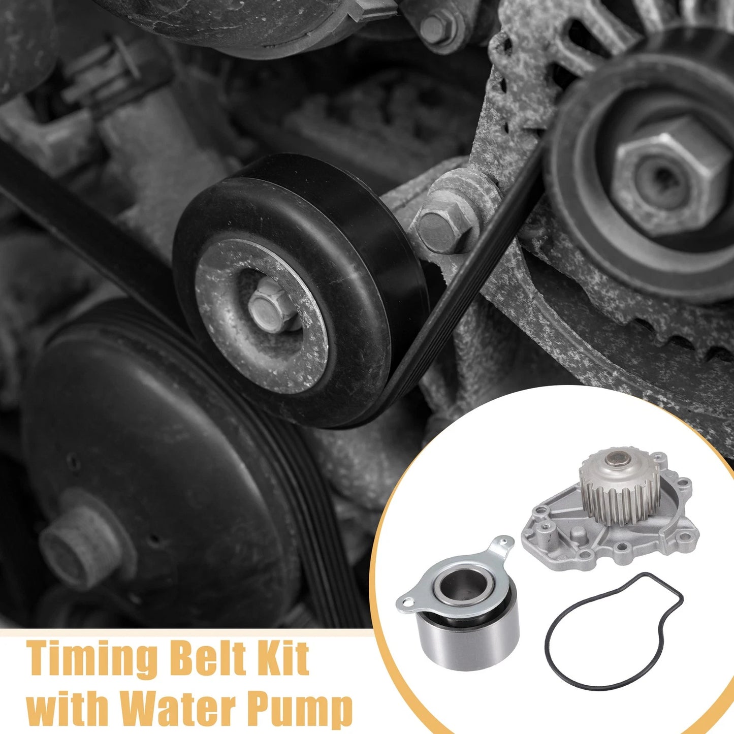 Timing Belt with Water Pump for Acura Integra (1996 - 2001)