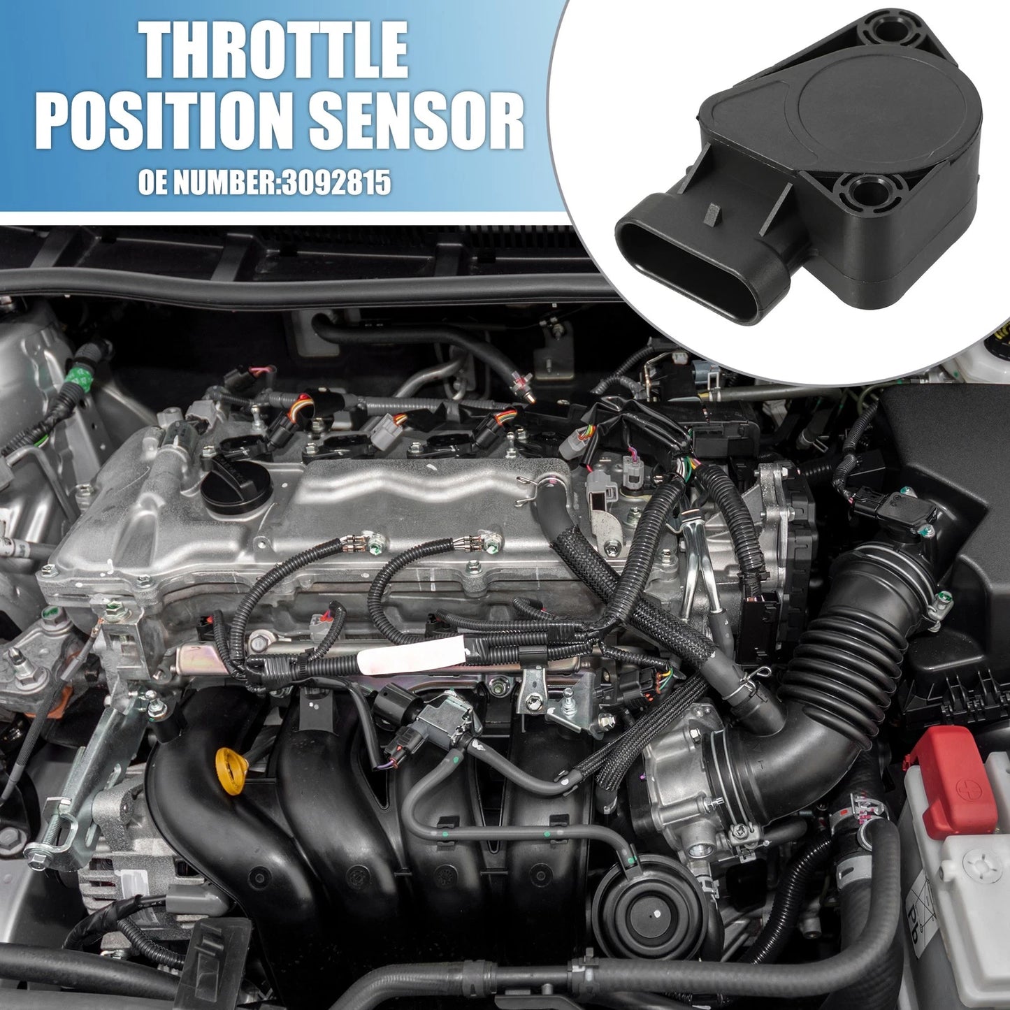 Throttle Position Sensor for Volvo Truck (2001-2007)