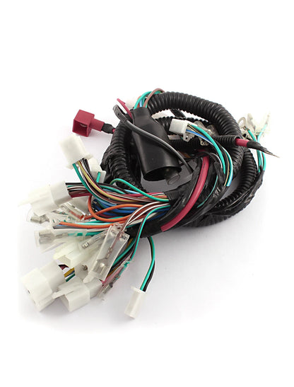 Main Wiring Harness for GS
