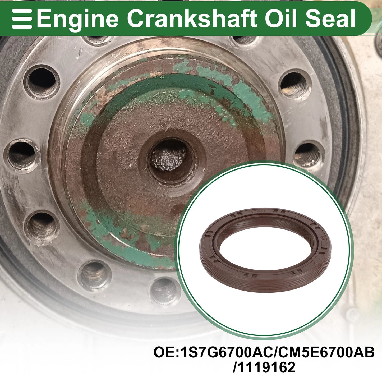 1 Pc Front Crankshaft Oil Seal for Ford Focus (2003-2018)