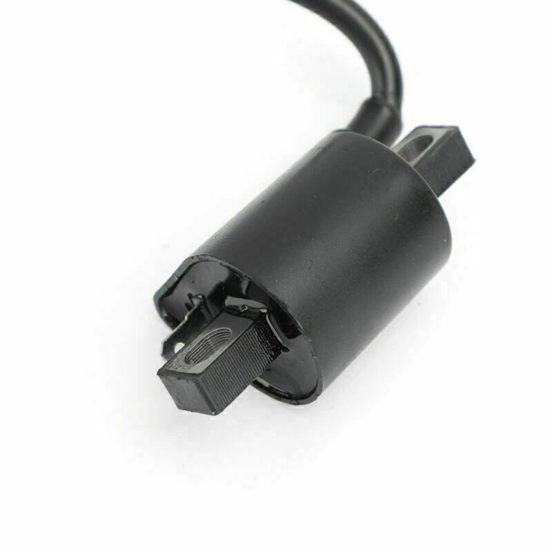 Ignition Coil for Taotao 50cc-250cc ATV/Scooter (2010-2023)