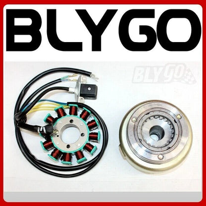 12 Pole Magneto Stator for 200cc 250cc PIT Quad Dirt Bike ATV