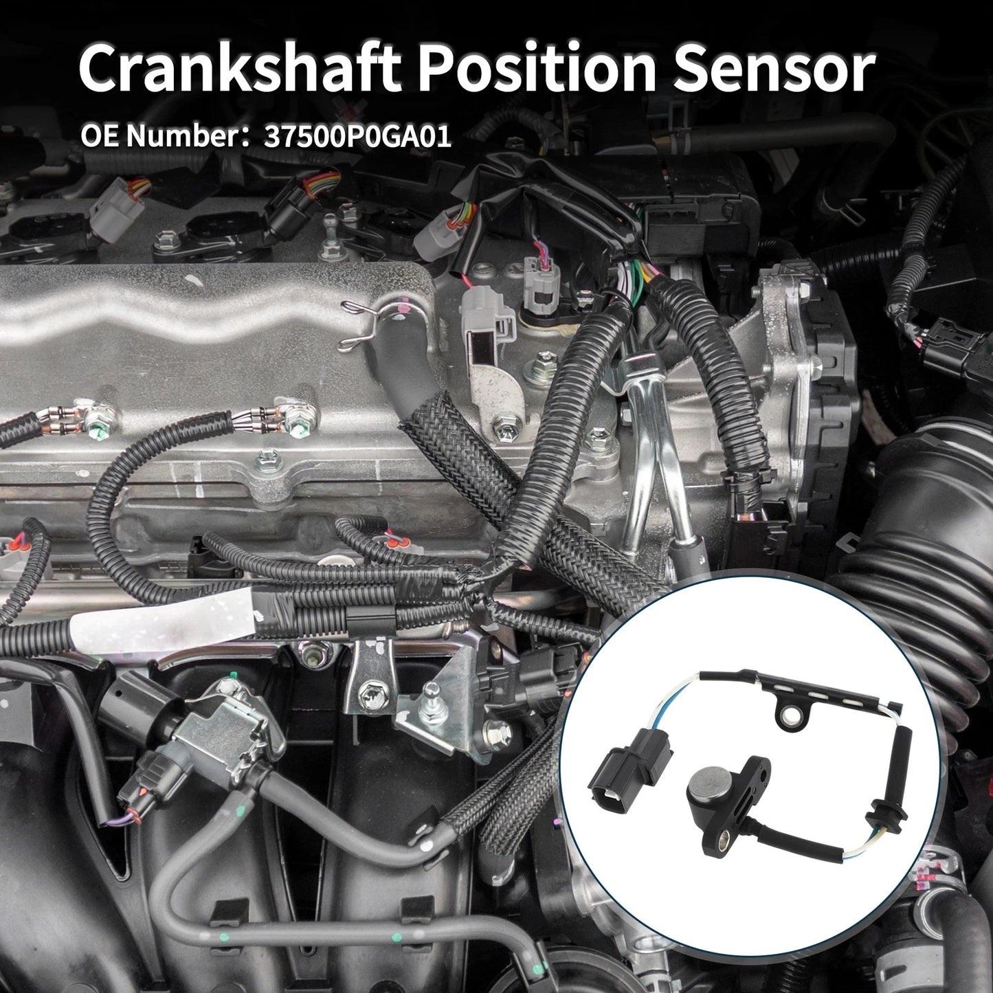 Crankshaft Position Sensor for Honda Accord 2.7 (1995-1997)
