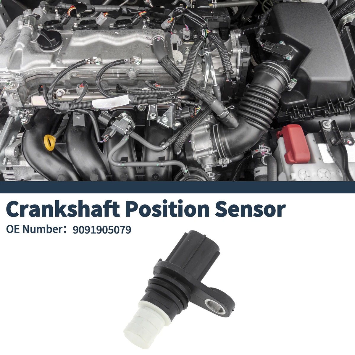 Crankshaft Position Sensor for Toyota Vitz F 1.3L (2005-2010) - 1 Pc Black
