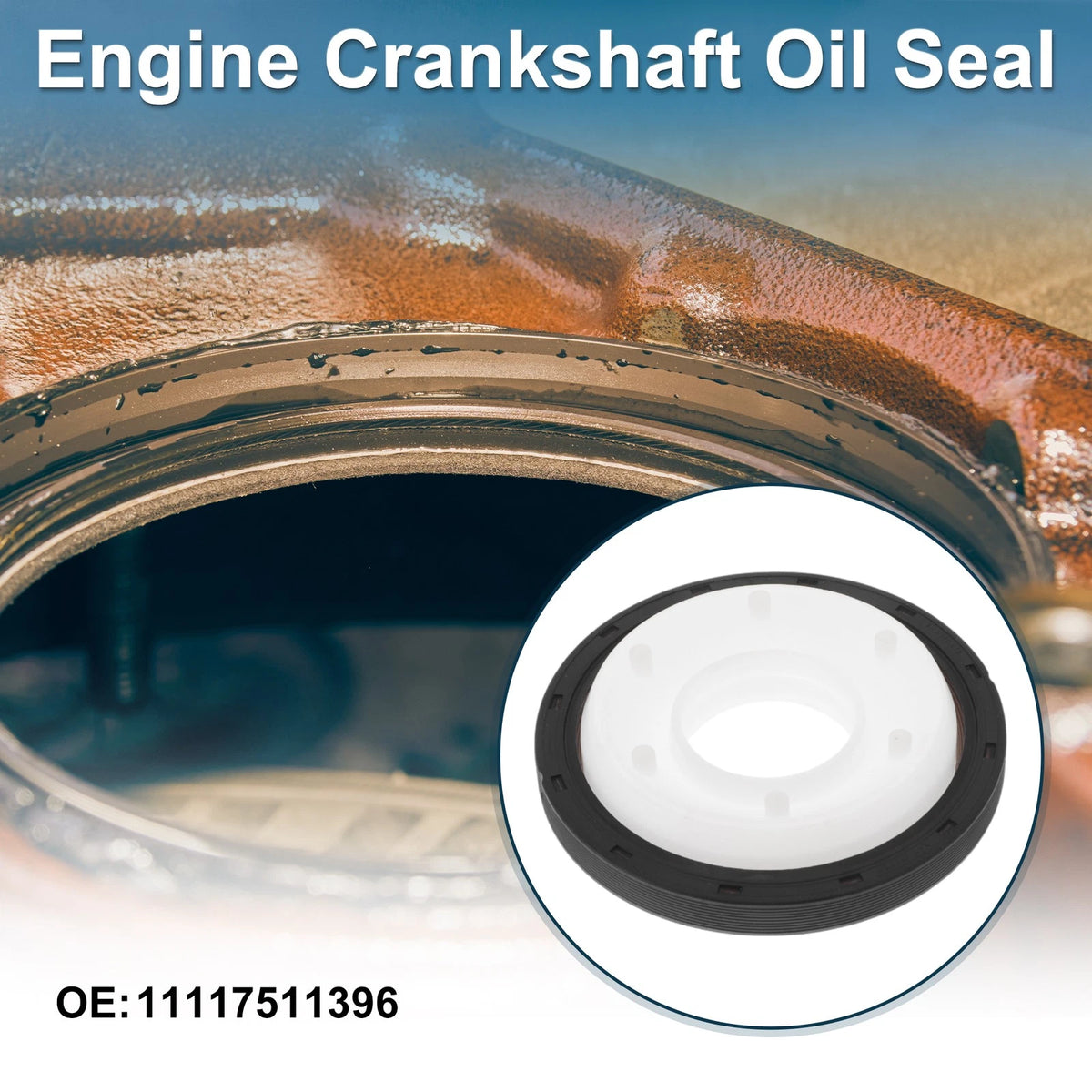 Rear Crankshaft Oil Seal for BMW 3 Series (2000-2013)