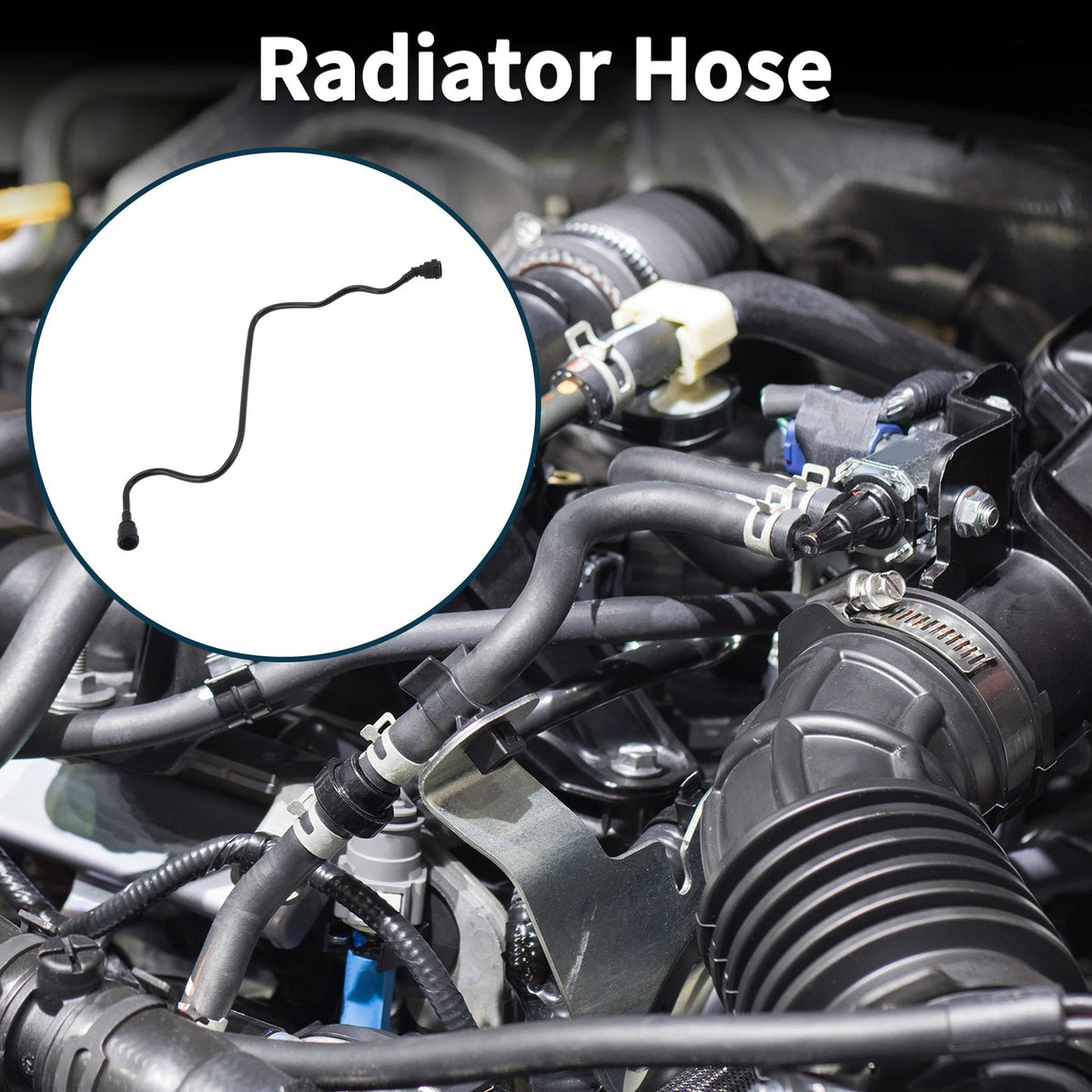 Radiator Hose for BMW 230i Base 2.0L (2022 - 2025)