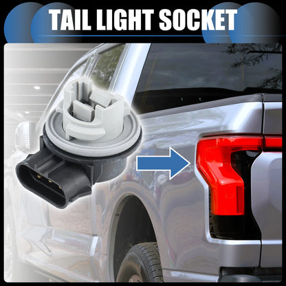 Tail Light Socket for Ford Mustang, Focus (1994-2004)