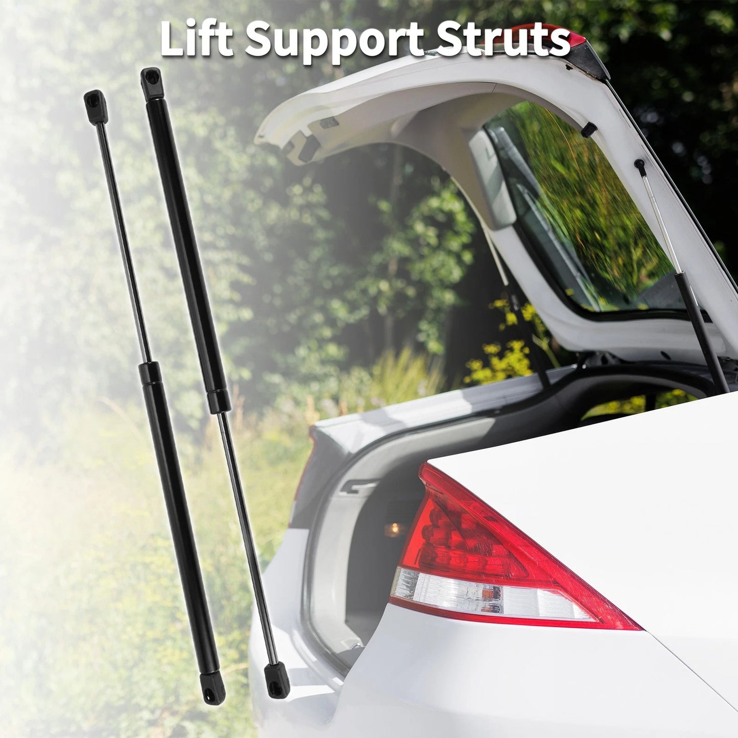 Rear Hatch Lift Supports for Ford Focus (2000-2007)