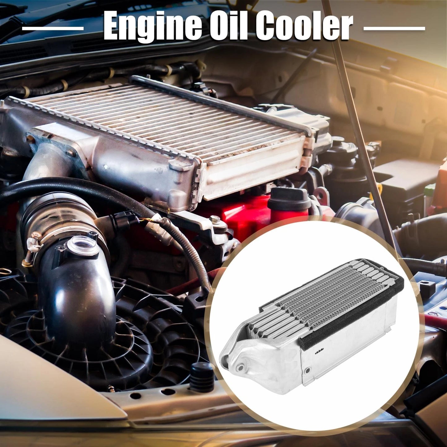 Automatic Engine Oil Cooler for Volkswagen Transporter (1972 - 1979)