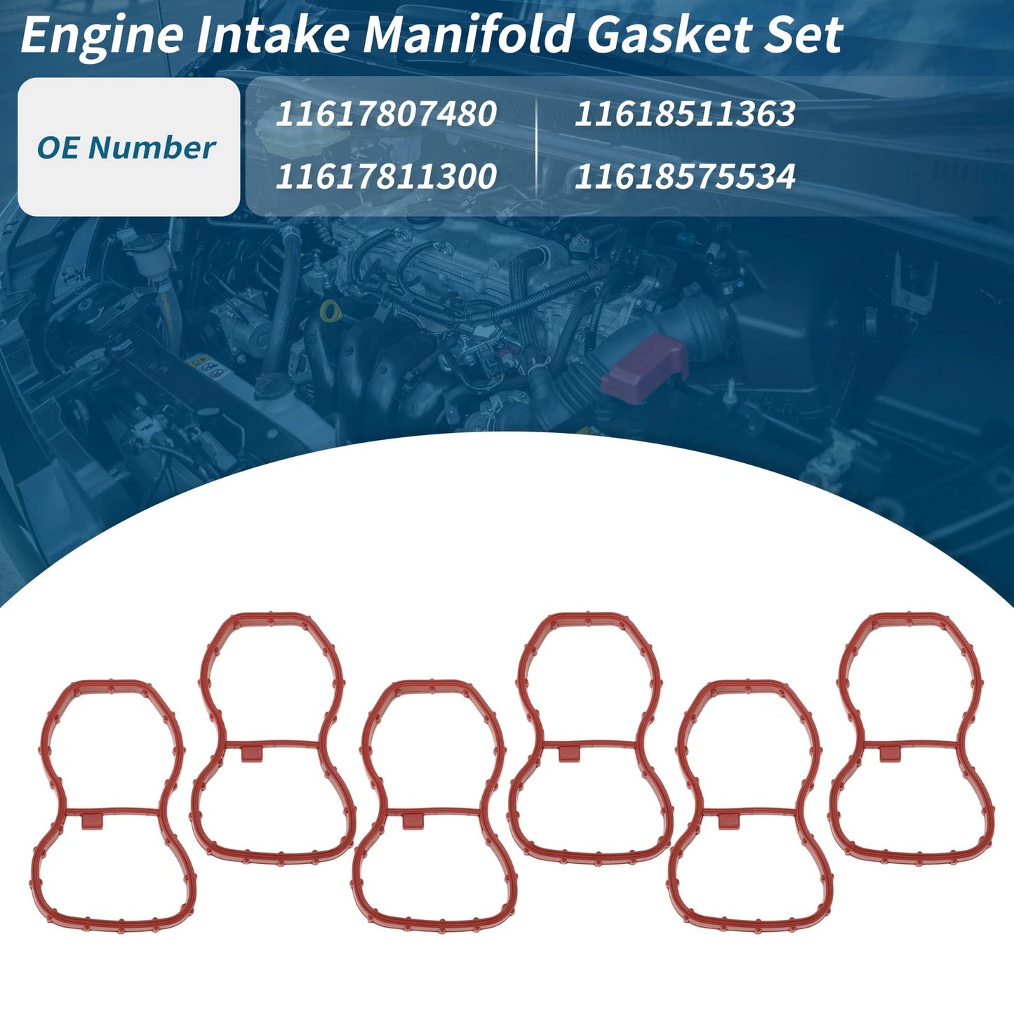 Intake Manifold Gasket w/ Flap Delete Plug for BMW