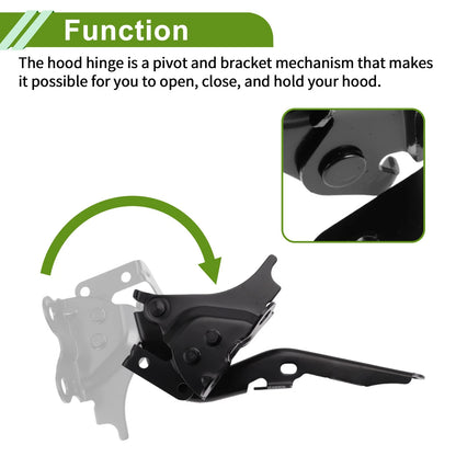 Hood Hinges 1 Pair for Lexus RX350 (2010-2015)