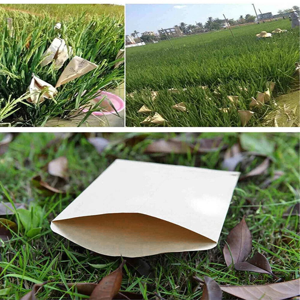 200PCS Coin Envelopes for Cash, Check, Ticket, Seed, Post Office