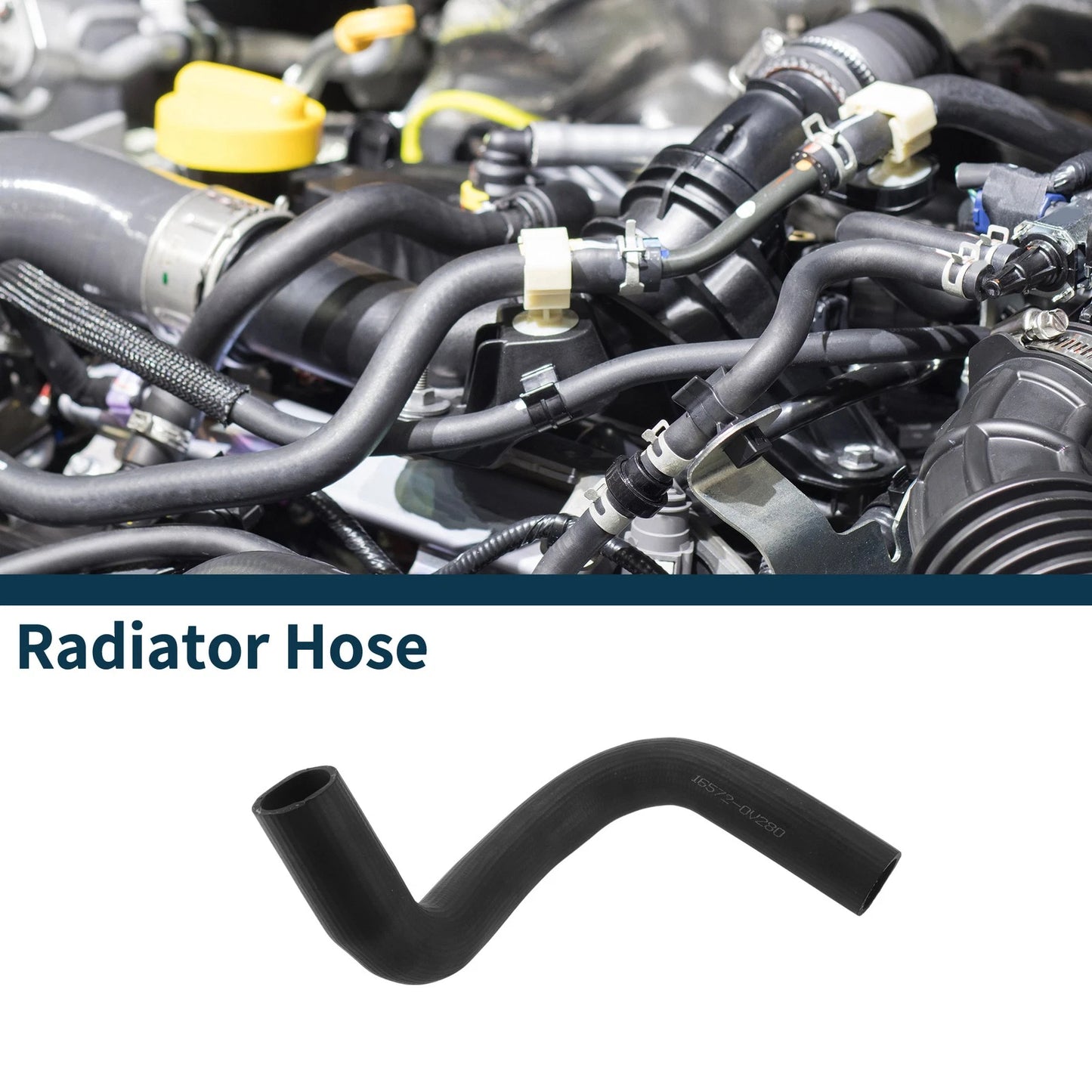Lower Radiator Hose for Toyota Camry (2018–2018)