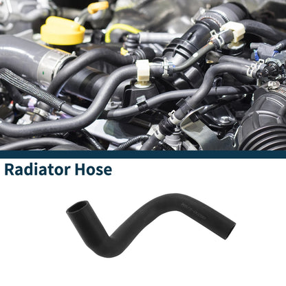 Lower Radiator Hose for Toyota Camry (2018–2018)