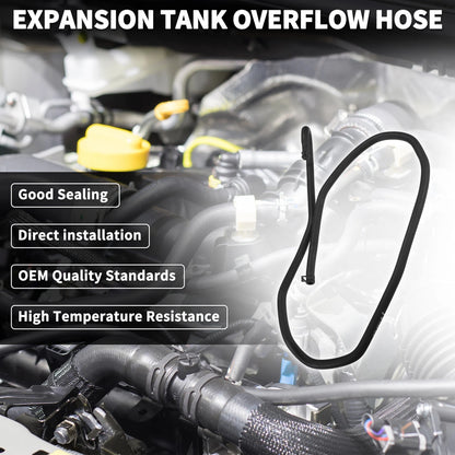 Overflow Hose for Focus MK2 (2004-2011)