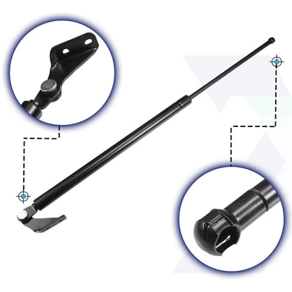 Rear Gate Lift Supports Struts for Nissan Rogue (2014-2020)