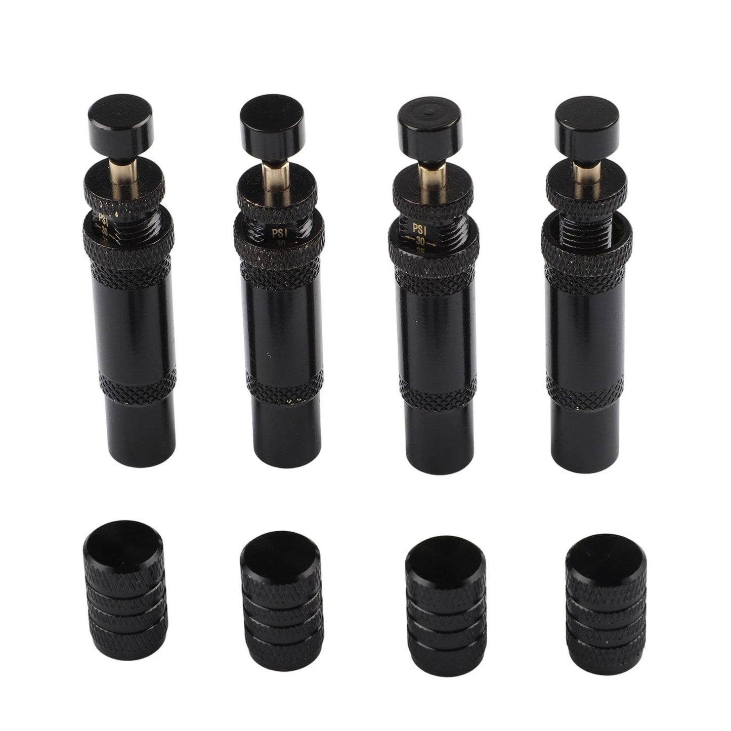 Tire Deflator Premium Brass for Off Road Adventures