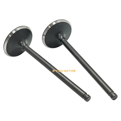 Valve Seals / Head Intake-Exhaust for Polaris Predator 500 (2003–2007)