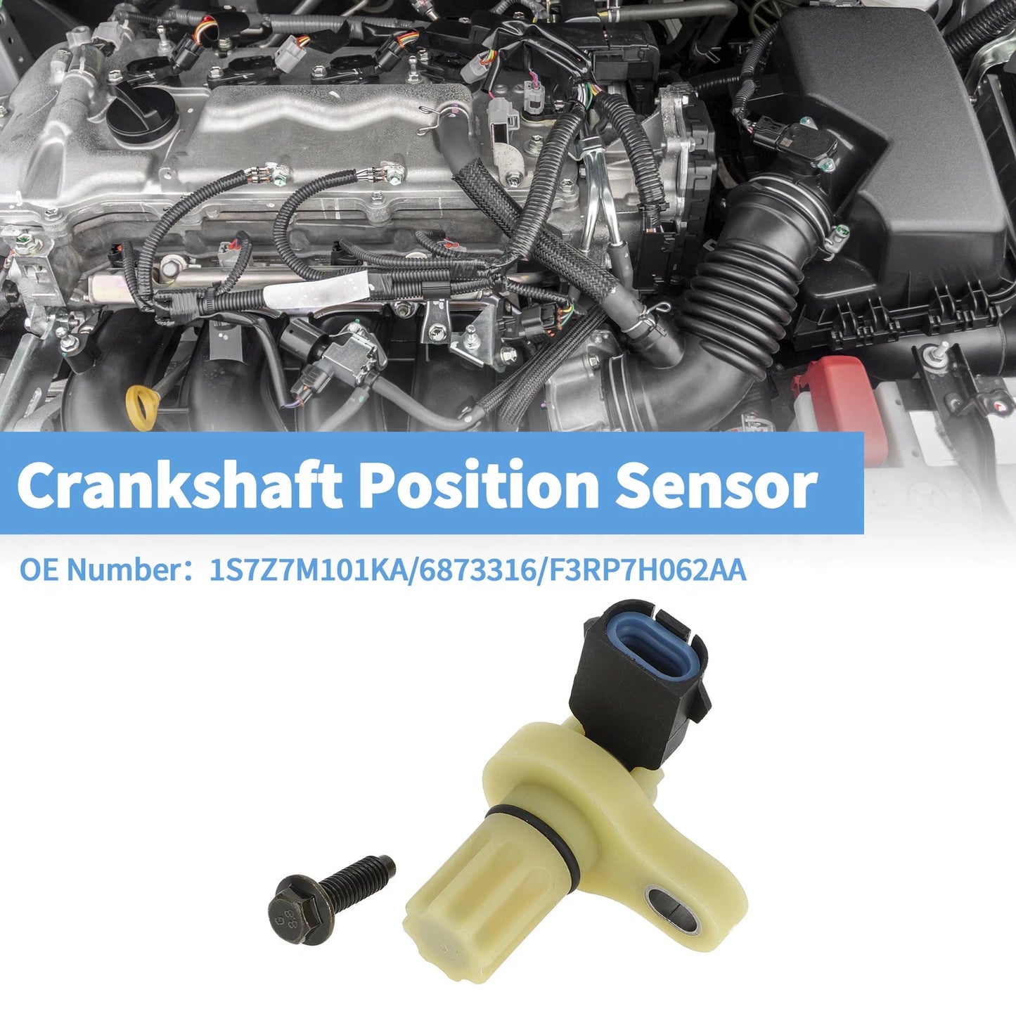 Crankshaft Position Sensor for Ford Escape 2.3 (2006-2007)