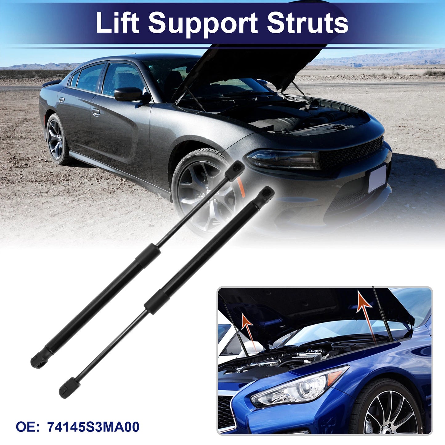 Tailgate Lift Support Struts Gas Spring for Acura TL Sedan