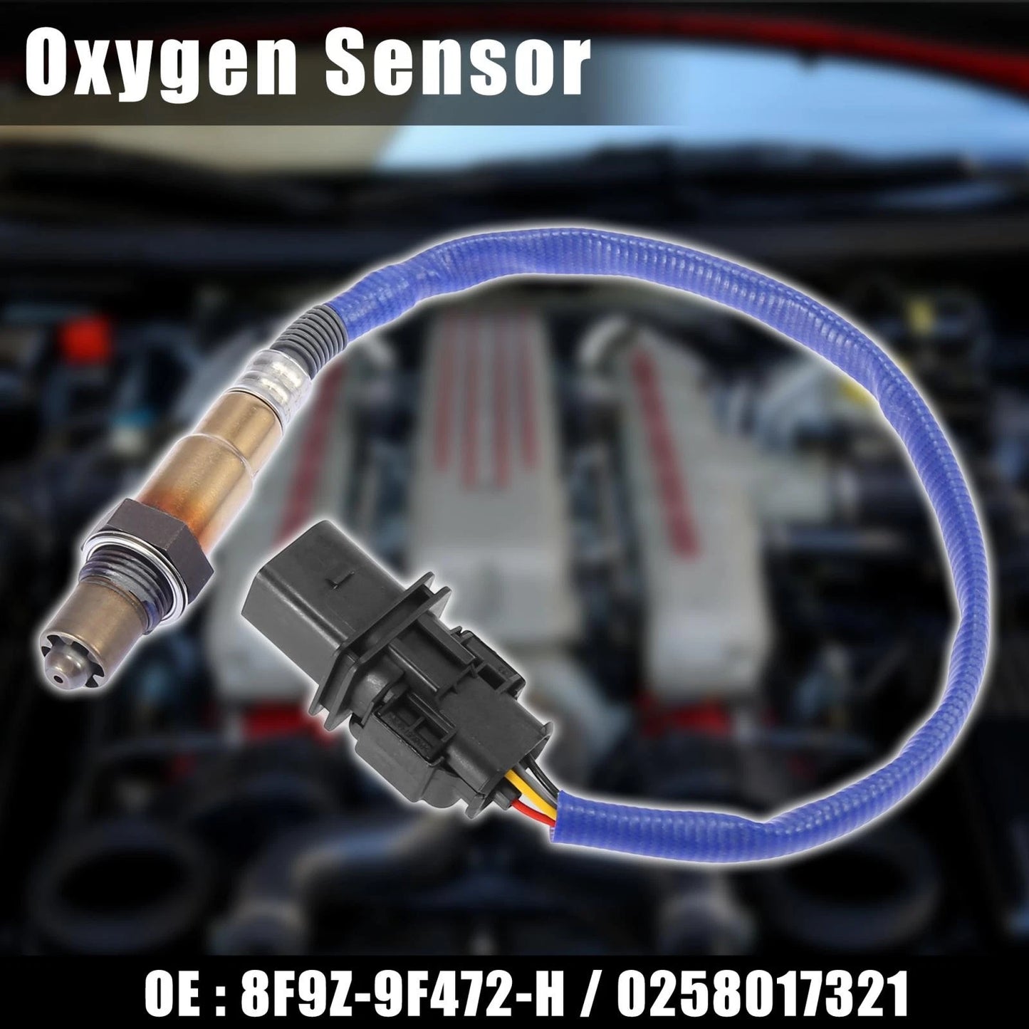 Oxygen Sensor for Ford Focus (2010-2013)