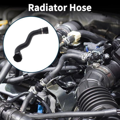 Radiator Hose for BMW 528i (2010-2013)