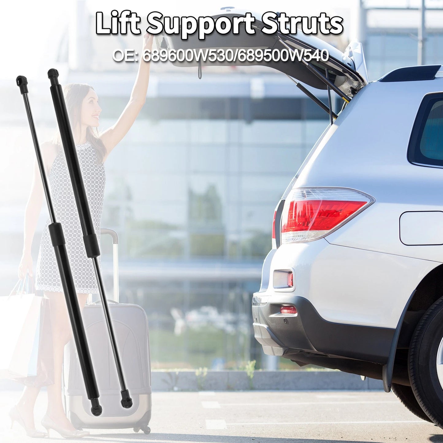 Rear Hatch Lift Supports for Toyota Prius Hatchback (2010-2012)