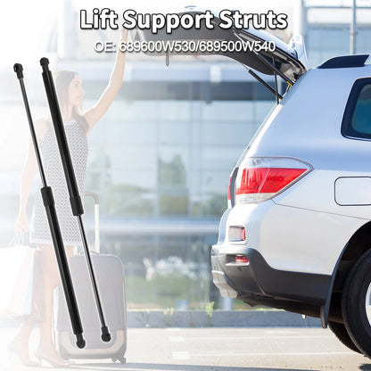 Rear Hatch Lift Supports for Toyota Prius Hatchback (2010-2012)