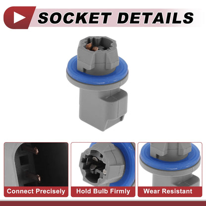 License Plate Light Socket Wiring for Ford F-150 (2001-2014)